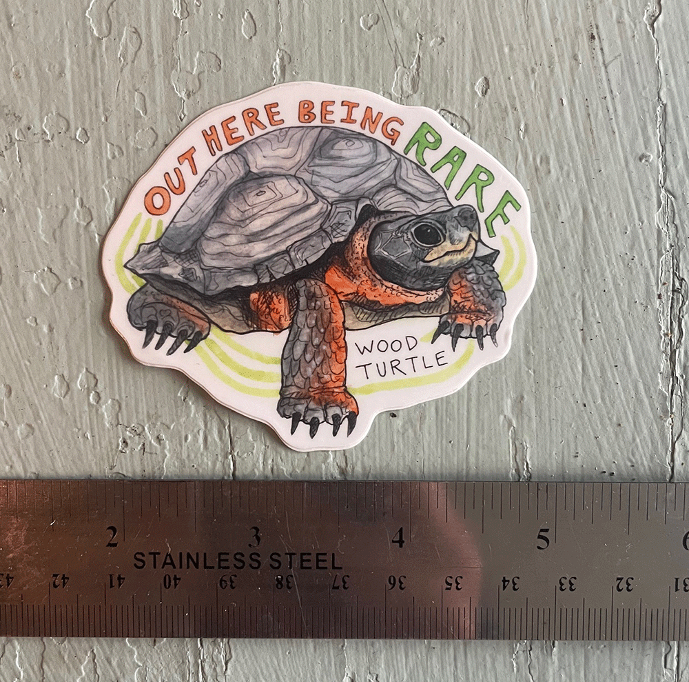 Wood Turtle Sticker